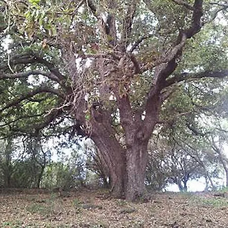 Finca Son Servera Menorca Es Mercadal